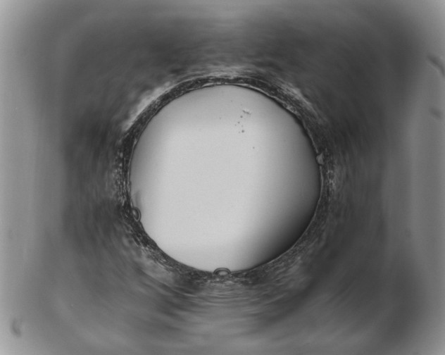 X0000102761256200809021000