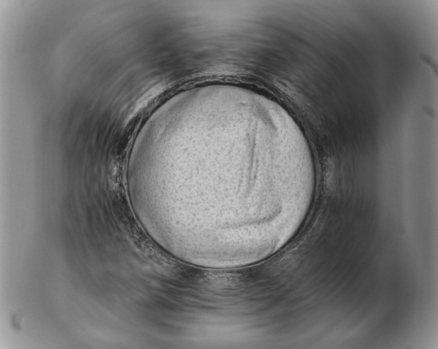 X0000102761258200809021000