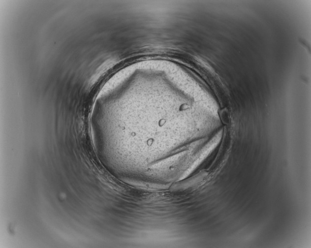 X0000102761259200809021000