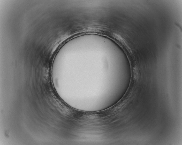 X0000102761260200809021000