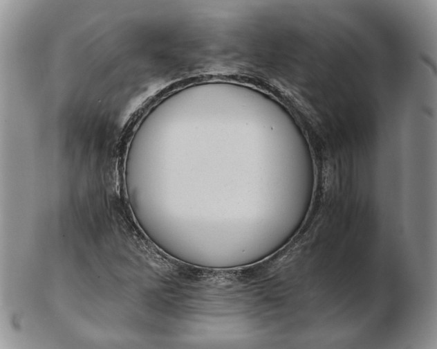 X0000102761262200809021000