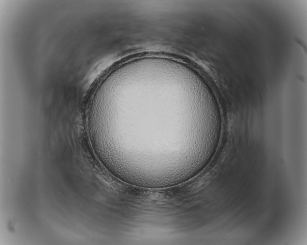 X0000102761263200809021000