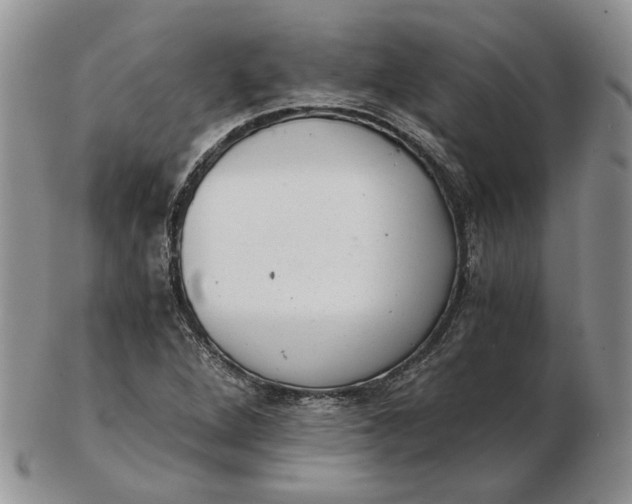 X0000102761264200809021000