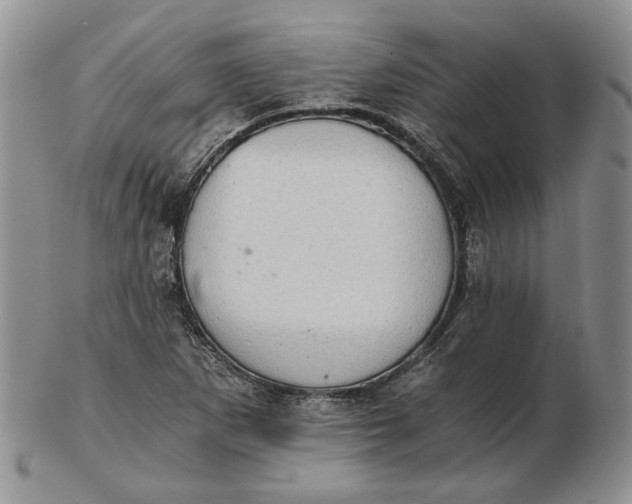 X0000102761265200809021000