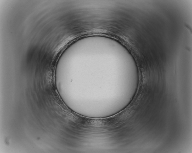 X0000102761266200809021000