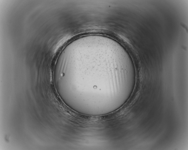 X0000102761267200809020959