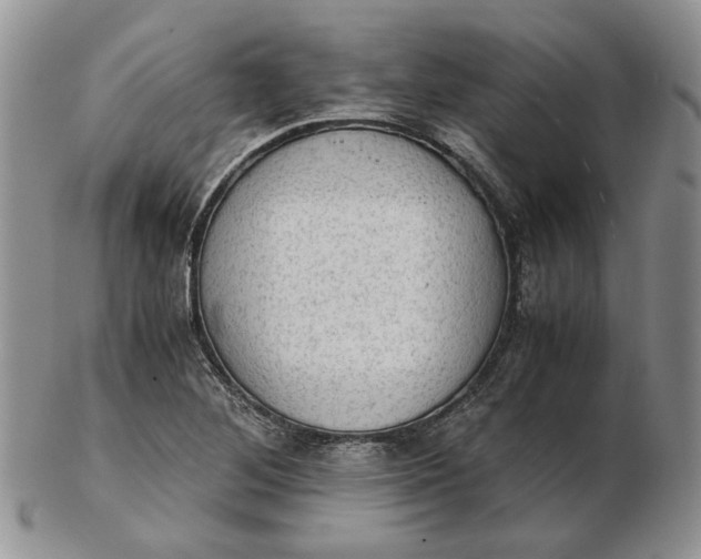 X0000102761268200809020959