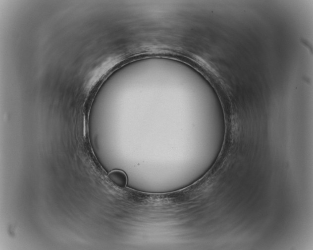 X0000102761269200809020959