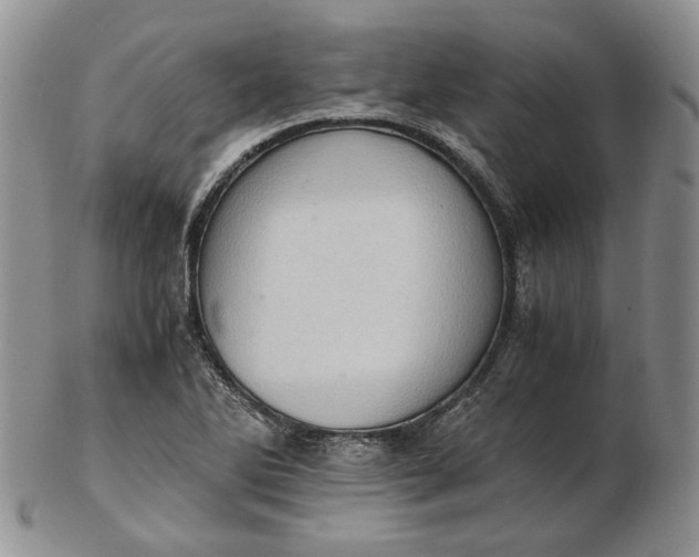 X0000102761270200809020959