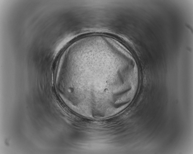 X0000102761271200809020959