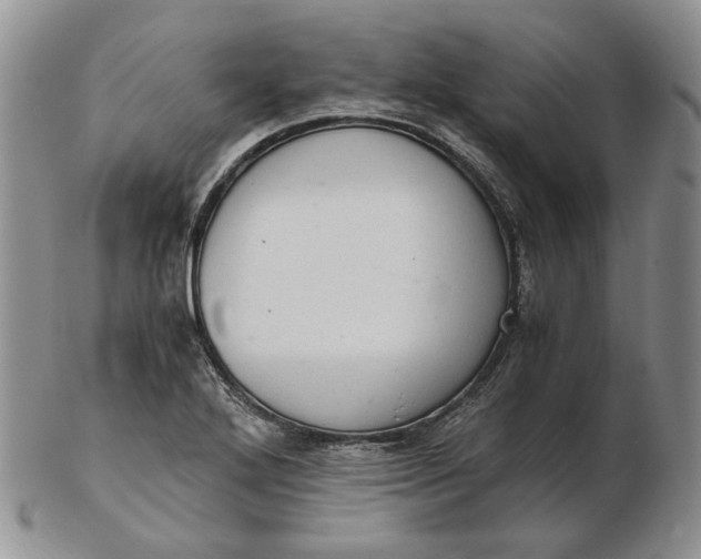 X0000102761272200809020959