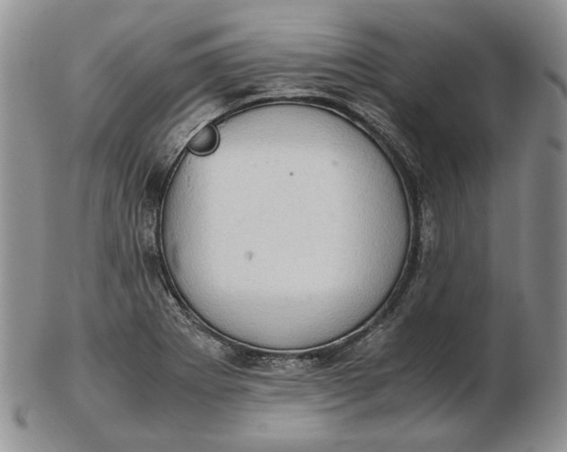 X0000102761273200809020959