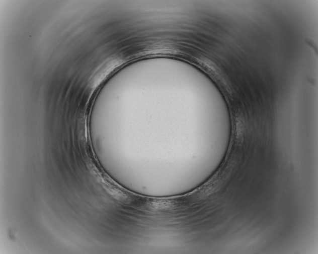 X0000102761274200809020959