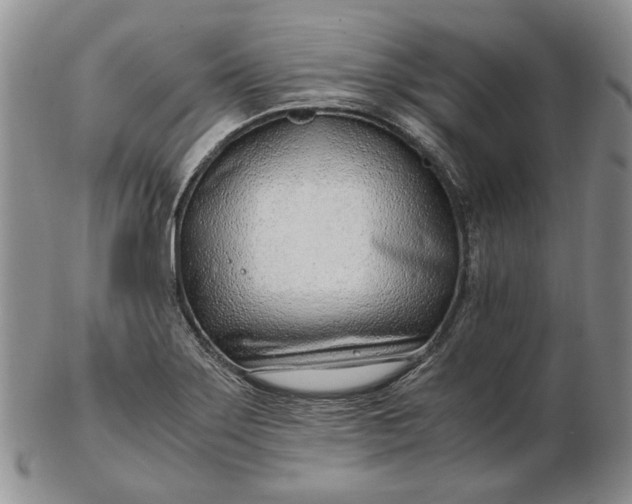 X0000102761275200809020959