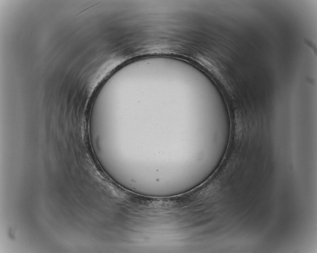 X0000102761277200809020959