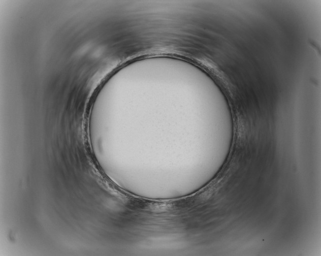 X0000102761278200809020959