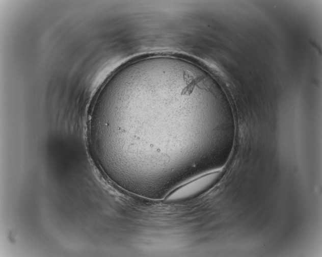 X0000102761279200809020959