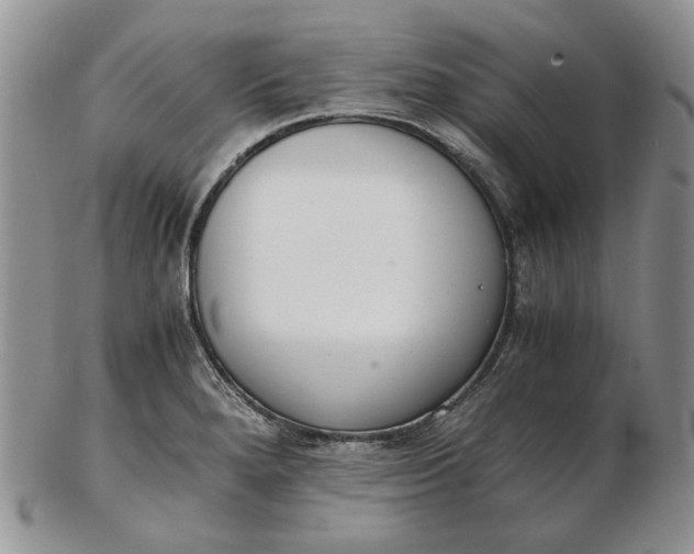 X0000102761280200809020959