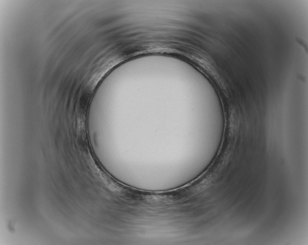 X0000102761281200809020959