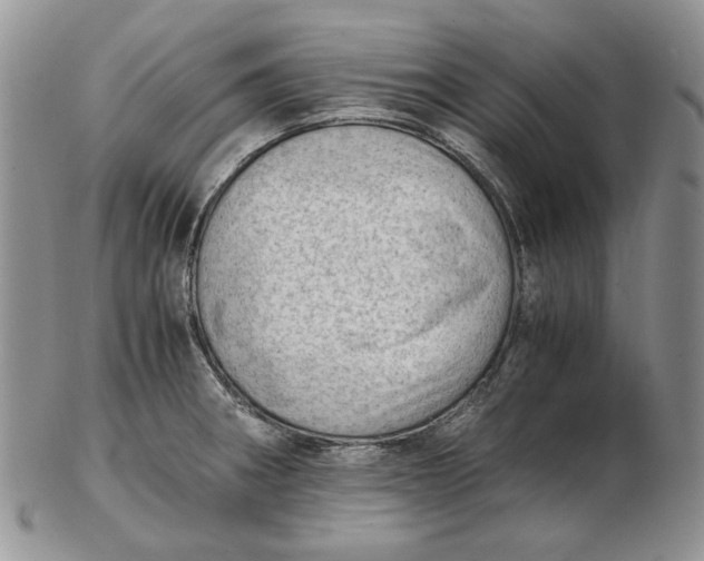 X0000102761282200809020959