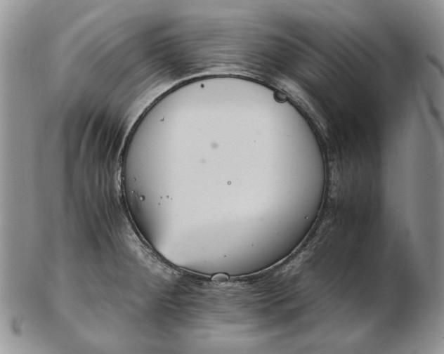 X0000102761284200809020959