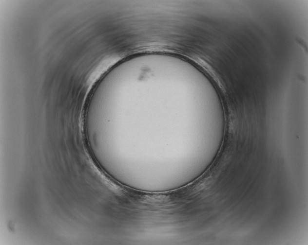 X0000102761285200809020959