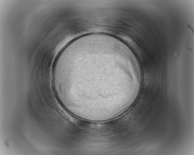 X0000102761286200809020959