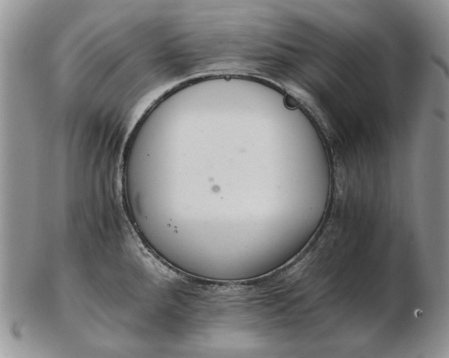 X0000102761288200809020959