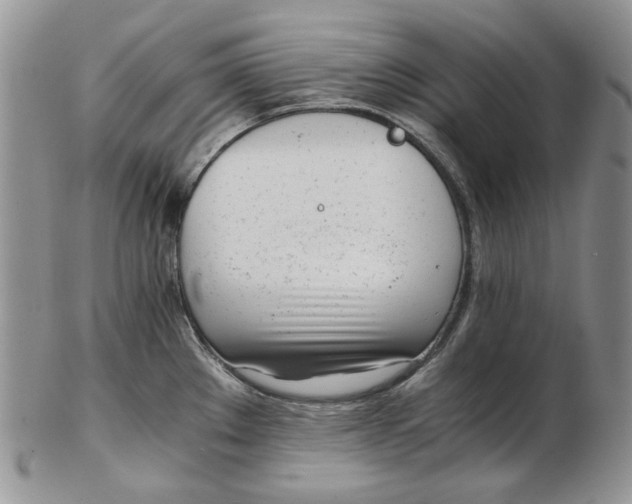 X0000102761289200809020959