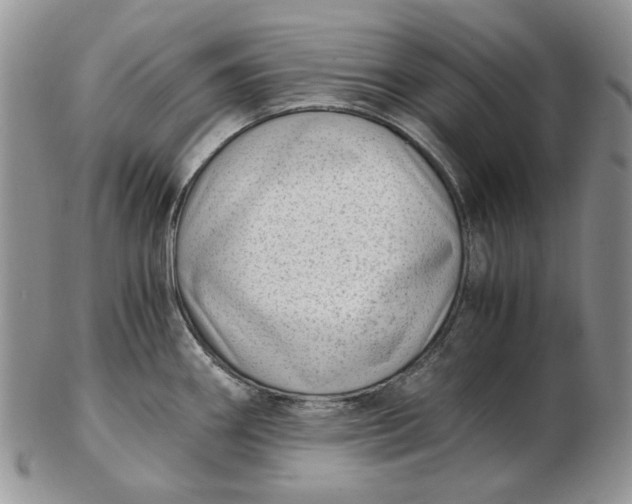 X0000102761290200809020959