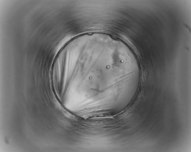 X0000102761291200809020959