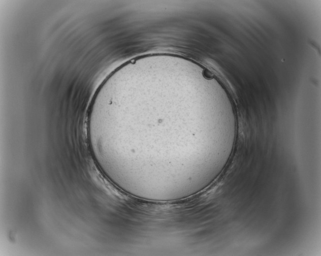 X0000102761292200809020959