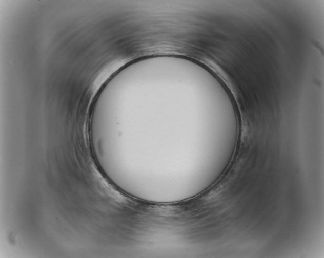 X0000102761293200809020959