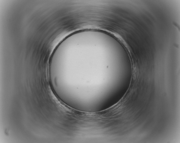 X0000102761295200809020959