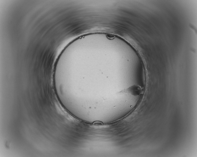 X0000102761296200809020959