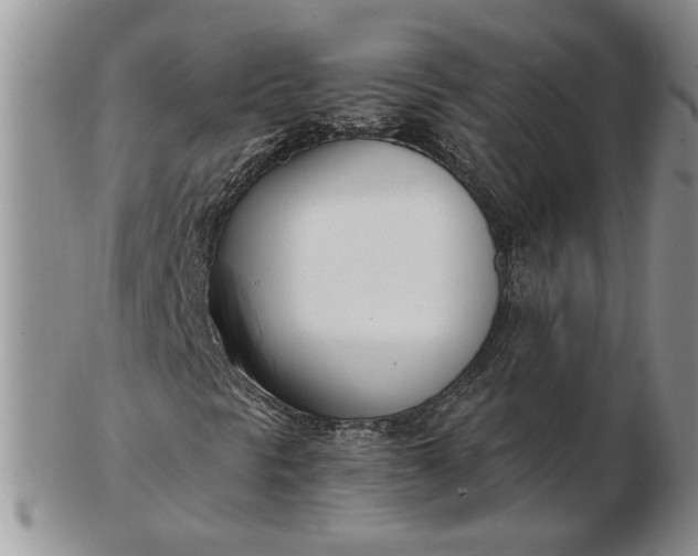 X0000102761297200809020958