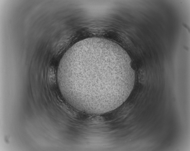 X0000102761298200809020958