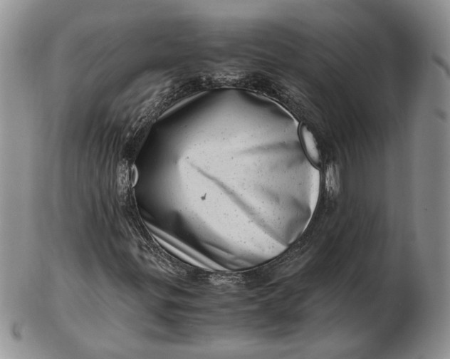 X0000102761299200809020958