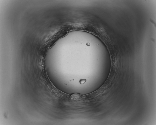 X0000102761301200809020958