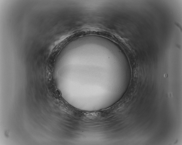 X0000102761303200809020959