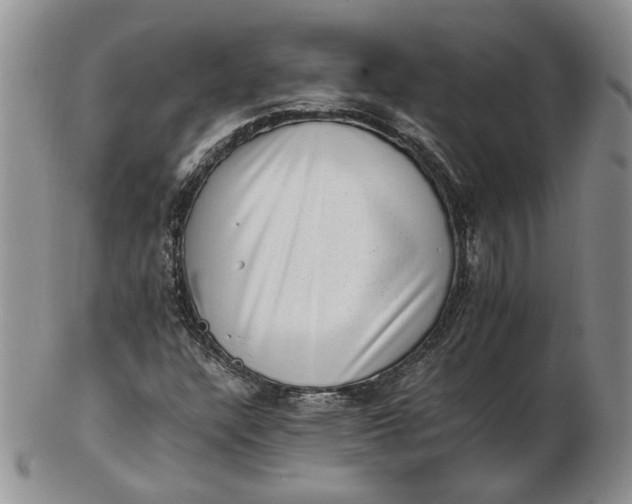 X0000102761304200809020959