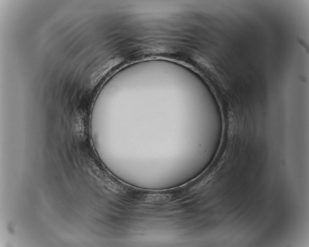 X0000102761305200809020959