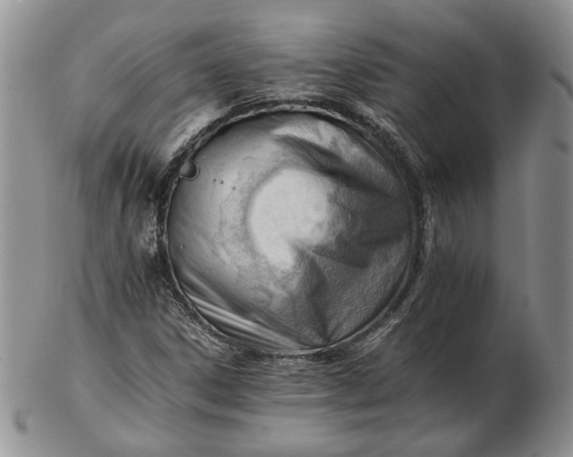 X0000102761306200809020959