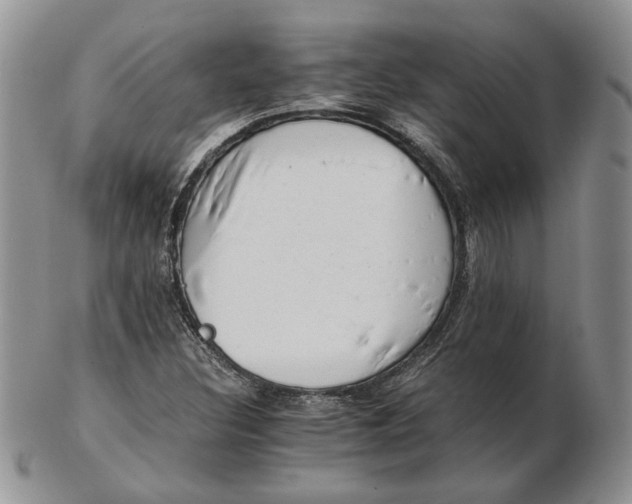 X0000102761308200809020959