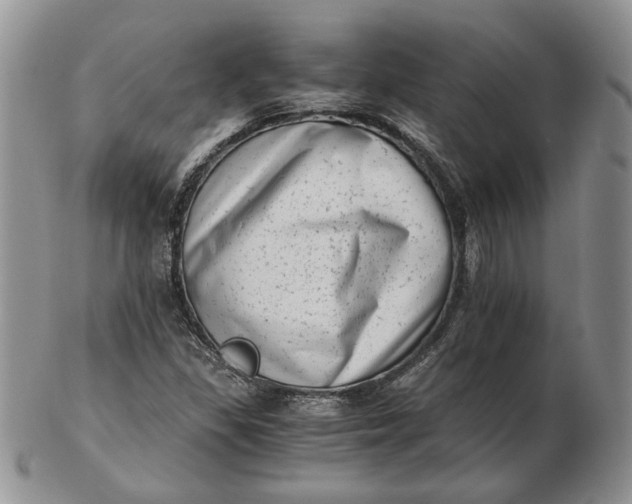 X0000102761309200809020959