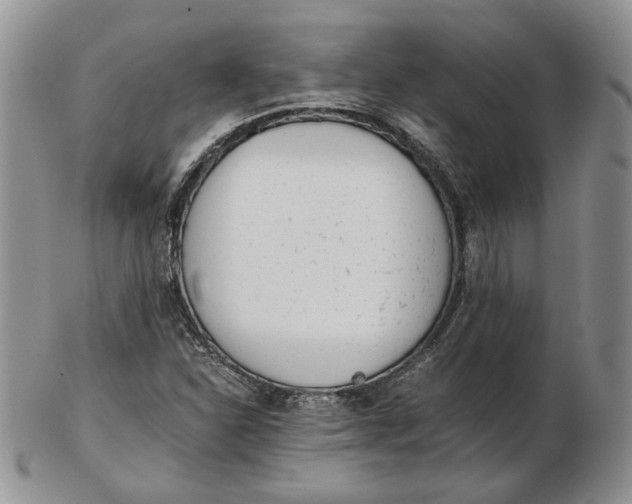 X0000102761310200809020959