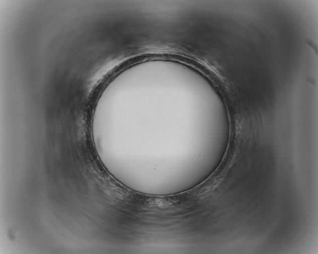 X0000102761311200809020959