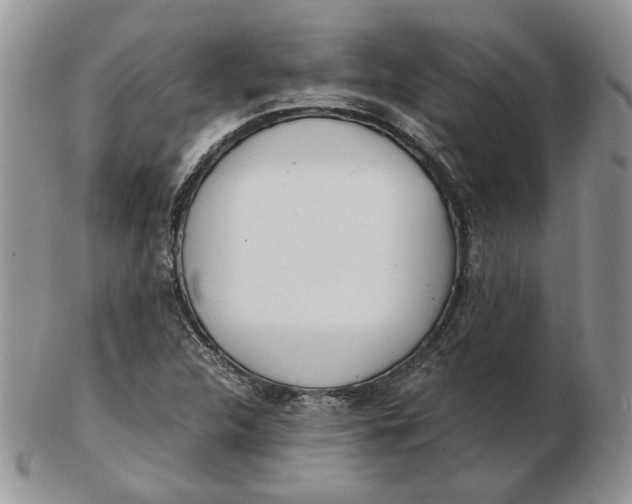 X0000102761312200809020959