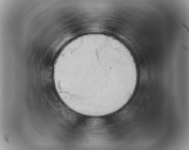 X0000102761314200809020959