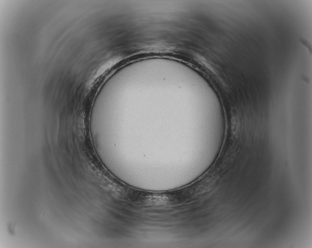 X0000102761315200809020959